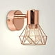thumbnail image 1 of Luz de pared LED Rose Shade Metal Cage Lámpara de pared Zócalo TUNC Sencillez, 1 of 5