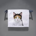 thumbnail image 6 of WIRESTER 2pcs Living Fashions Kitchen Towels for Washing Dishes for Bath Kitchen Hand Towel, Drying Dishes Kitchen Wash Clothes Dish Towels - Calico Kitten Cat & Cream Sphynx Kitten Cat, 6 of 6