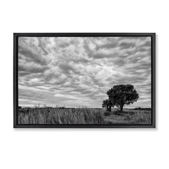 Stupell Industries Solitary Tree Beneath Clouds Black Framed Floater Canvas Wall Art, design by Jon Evan
