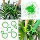 thumbnail image 1 of 100 Clips para Plantas de Jardín con Hebillas | Clips de Plástico Verde para Sujetar Plantas, Enredaderas, Flores y Árboles | Bridas Ajustables para El Hogar, El Jardín y La Oficina, 1 of 6