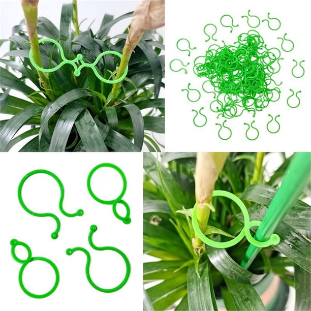 Clips de soporte para plantas de jardín 100Pcs - Sujetadores ajustables para plantas, enredaderas, flores y plantas caídas, clips de plástico verde para estacas, tallos y ramas