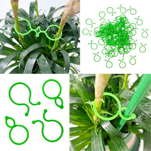 Hyknon Tools 100Pcs Botanys Stem Strapping Clips Garden Plant Bundled Buckle Ring Tool New Tools