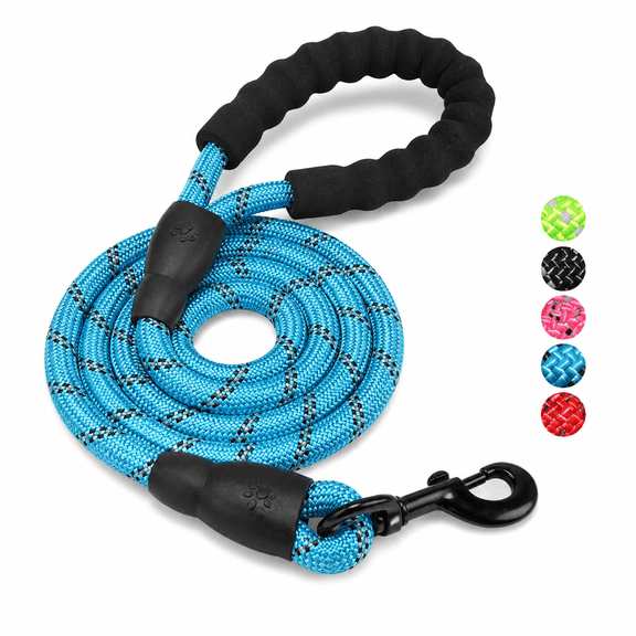 5-Feet Strong Nylon Dog Leash – Padded Handle & Reflective Threads for Medium and Large Dogs