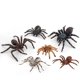 thumbnail image 4 of Simulación de animales, insectos, modelo sólido, Tarantula, araña negra, broma Tricky, divertidas figuras de acción, juguetes educativos, 4 of 4