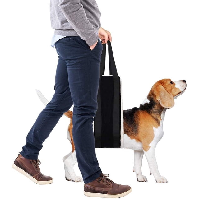 Eslinga grande para perros para patas traseras de 30 a 120 libras que ayuda a perros mayores con movilidad limitada, arnés de elevación para perros de 6 x 41,3 pulgadas, elevador para perros para rehabilitación de artritis del ligamento cruzado anterior Rojo Verde