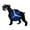 Blue-without LED, variant on Dachshund Dog Vinyl Record Wall Clock for Kitchen Wall Decor Wall Art Gift for Lover Gift Idea for a Best Friend(P,with LED)