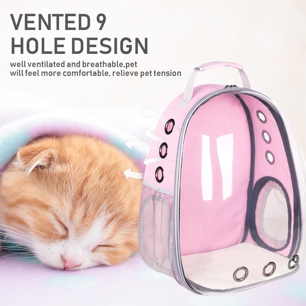 cat transparent backpack