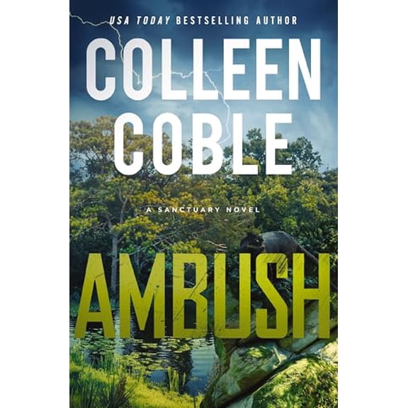 Pre-Owned Ambush: A Small-Town Romantic Suspense (Hardcover) 0840714351 9780840714350