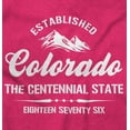 thumbnail image 2 of Colorado CO Centennial State Souvenir Unisex Plus Fleece Graphic Hoodie Brisco Brands 5X, 2 of 3