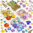 thumbnail image 1 of Kit de 100 flores prensadas Dried Flowers Resiners, 1 of 9
