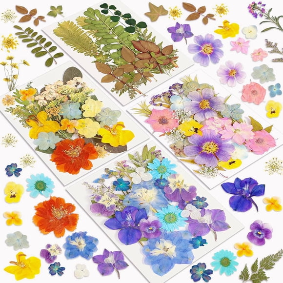 Kit de 100 flores prensadas Dried Flowers Resiners
