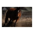 View all media