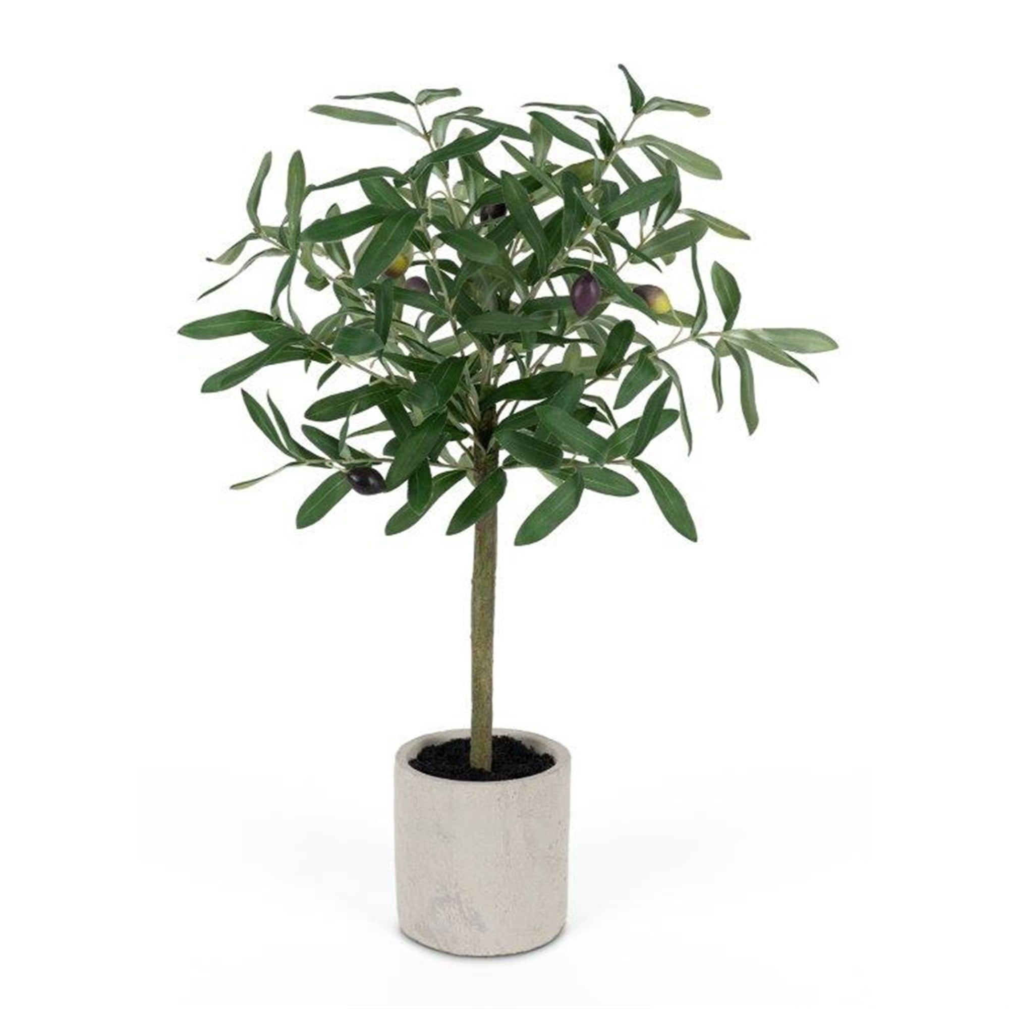 Olive Topiary 23"H Plastic/Cement