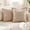 Beige Bubble, variant on Pentantan Decorative Throw Pillow, 18"x18" Soft Couch Pillows with 2-Pack Inserts, Boho Floral Cushion for Sofa Living Room Bedroom, Brown