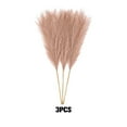 thumbnail image 4 of kurtrusly 3x Space Artificial Pampas Reed For Chic And Non-shedding Home Decor Downy And Durable Boho Decor Light Coffee 1Set, 4 of 6