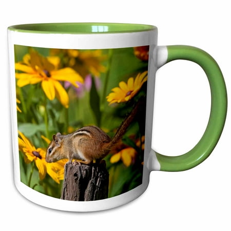 3drose, Eastern Chipmunk on Fence Post Near Flower Garden, Marion Co. Il, 11oz Two-tone Green Mug