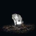 thumbnail image 2 of Vanishing Life - Surveillance (Vinyl LP), 2 of 2
