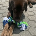 thumbnail image 2 of Dogit Knotted Rope Multi-Coloured Rope Bone Dog Toy Medium, 2 of 6