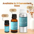 thumbnail image 3 of Scent Aura IV Four Seasons Alpine Fragrance Oil Inspired by The Four Seasons Hotel (0.34 Fl Oz|10ml, Diffuser Oil, Luxury Hotel Scent), 3 of 8
