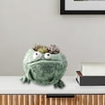 thumbnail image 5 of Frog Planter, Cute Resin Garden Flower Pot with Sculpted Big Eye Design, Decorative Plant Holder for Small Greenery Tabletop Shelf Windowsill Garden Corner Patio Home Decor, 5 of 6