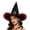 Black4*, variant on RUTAYY Women's Halloween Witch Hat Spider Web Embroidery Bat and Rose Decor Wide Brim Party Hats Black