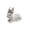 C #t86, variant on Japceit Resin Easter Bunny Figurine Decor, Cute Rabbit Statue for Home Tabletop, Spring Holiday Ornament for Living Room, Bedroom, Shelf, Mantel, Farmhouse Style White Finish