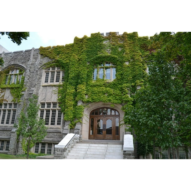 Canvas Print Uwo Building Ivey Western Stretched Canvas 10 x 14