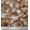 Tawny Brown, variant on Soimoi Cotton Duck Fabric Star & Camouflage Print Sewing Fabric Yard 42 Inch Wide
