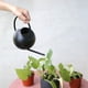 thumbnail image 4 of 1 L / 35  largo Regadera Plantas con flores Herramientas de de acero inoxidable Negro Sharpla regadera de caño largo, 4 of 7