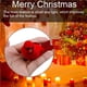 thumbnail image 5 of De Adorno De Cardenales De Pájaro Rojo Adorable Clip De Pájaro Artificial Realista Multifuncional Decoración Festiva Para Fiesta De Regalo De Corona De Árbol De Navidad10 Piezas Methold  HA012764-00, 5 of 7