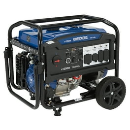 アンバサダー black max3600 Black Max 3600W Gas Generator with Auto Shutdown, Carb