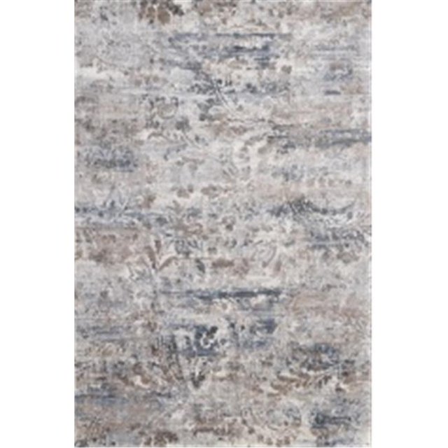 Dynamic Rugs Tapis d'Image IG10146506619&44; Brun Clair et Beige - 9,2 x 12,10 Po.