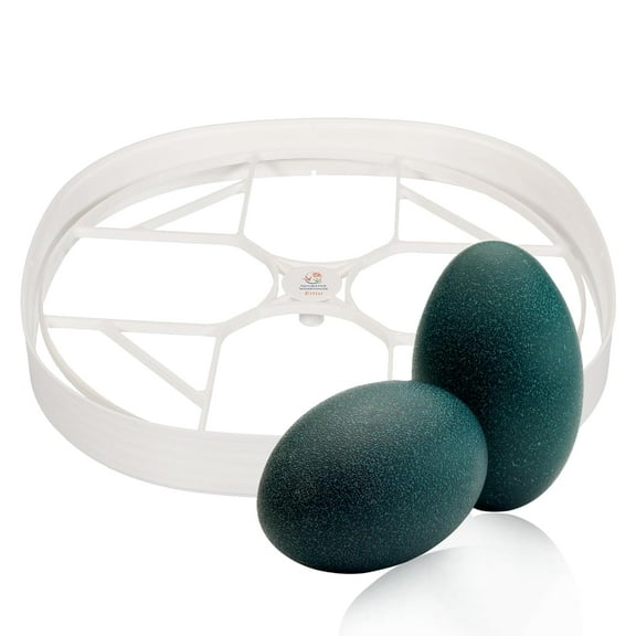 Egg Trays for Nurture Right 360 Egg Incubator (Various Sizes) (Extra Large w/Riser (Emu))