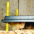 thumbnail image 3 of Premier Chick Brooder Heating Plate - 12" x 12", 3 of 3