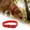 A, variant on Dog Collar PVC Material Coated Nylon Adjustable Strong Double Clasps D Ring Chew Proof for Small Medium Large Dogs Outdoor