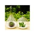 thumbnail image 2 of EeaseCA Create Refreshing Transparent Hanging Glass Planter Terrarium Vase Home Decor (Orb), 2 of 7