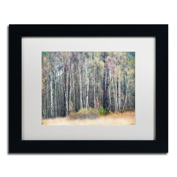 Trademark Fine Art 'Birches' Canvas Art by Cora Niele, White Matte, Black Frame
