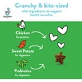 thumbnail image 6 of Shameless Pets Catnip N Chill Crunch Cat Treats 2.5 oz., 6 of 6