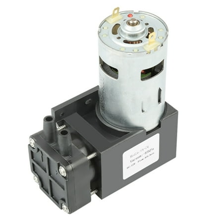 

Oilless Pump Durable Pump For Industries Disinfection Equipment DC12V 42W