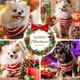 thumbnail image 4 of Super cute dog, cat, Christmas sweater, holiday pet clothing, New Year's gift suitable for small and medium-sized large dogs (XL size), 4 of 5