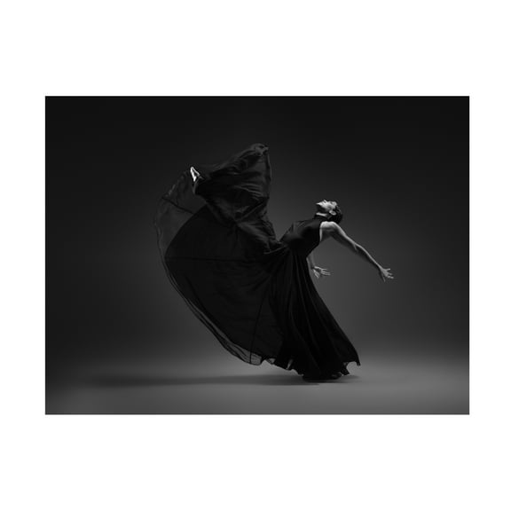 Rob Li 'Dance 2' Canvas Art