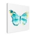 thumbnail image 2 of Trademark Fine Art 'Butterfly Traces IV' Canvas Art by June Erica Vess, 2 of 4