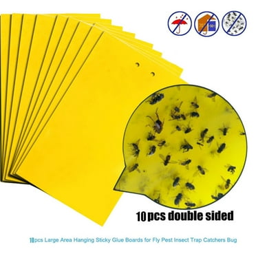 Tantouec Fly Traps for Indoors 10Pcs Strong Flies Traps Bugs Sticky Board Catching Aphid Insects Pest Killer, Yellow 10X Fly Stickers, Clearance