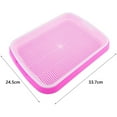 thumbnail image 5 of Plateau de Germination Multifonction pour Graines Germées (Rose), 5 of 5