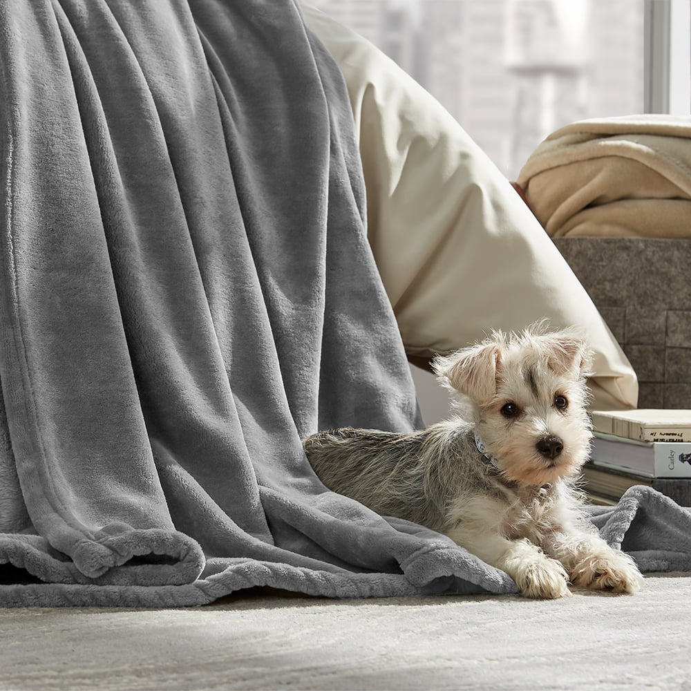 Chen Miranda Happy Thanksgiving Day Leaf Blanket Super Soft Lightweight Warm Blanket Microfiber Season Blanket 50x60 inches for Bed Sofa Couch Office Home Decor Chen Miranda Happy Thanksgiving Day Leaf Blanket Super Soft Lightweight Warm Blanket Microfiber Season Blanket 50x60 inches for Bed Sofa Couch Office Home Decor
