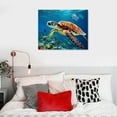thumbnail image 4 of JRXY  Turtle Picture Decor Wall Art Aquatic Animal Nature Landscape Print on Canvas for Bathroom Kids Room Decorations Teal Framed  20x16in, 4 of 4
