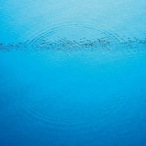 Caribou - Suddenly - Music & Performance - CD