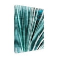 thumbnail image 2 of Eva Bane 'Greenery Essence I' Canvas Art, 2 of 3