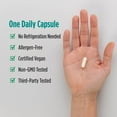 thumbnail image 6 of Nordic Naturals Nordic Flora Probiotic Comfort, Capsules, Non-GMO, 30 Ct, 6 of 9