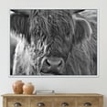 thumbnail image 2 of Designart 'Close Up Scottish Highland Cows Living On Moorland' Farmhouse Framed Canvas Wall Art Print, 2 of 5